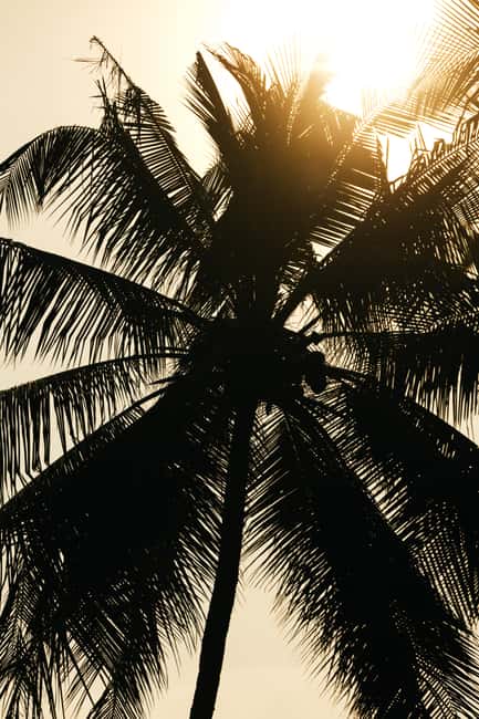 Khao Lak: 1.5-Hour Small Group Surfing Experience - How it compares with a casual board rental