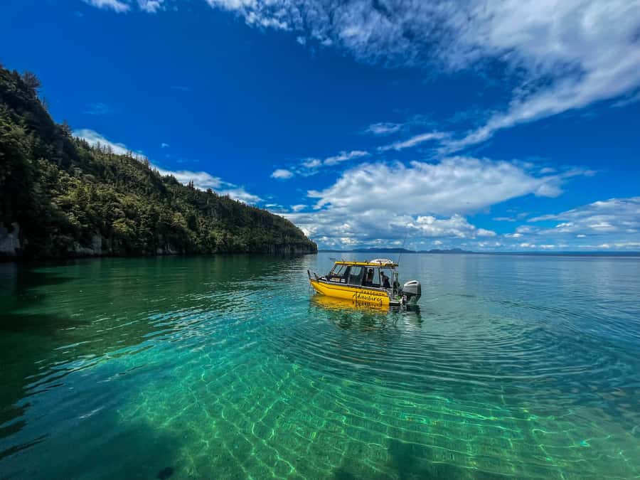 Kinloch: Lake Taupo Catamaran Cruise with Paddleboarding - Waterfalls that tumble straight into Lake Taupo