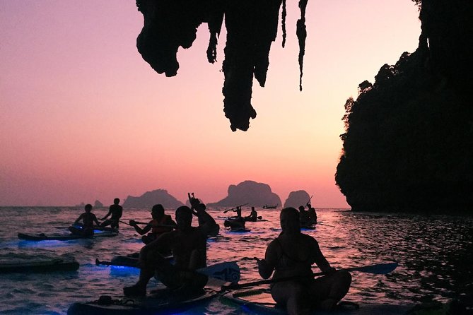 Krabi Stand-Up Paddleboard Illuminated Night Tour - Why the water glows after sunset at Railay
