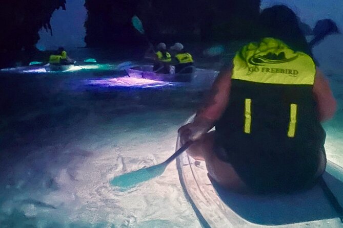 Krabi Stand-Up Paddleboard Illuminated Night Tour - The first 15 minutes on the water
