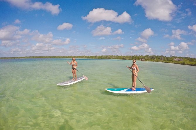 Lagoon Paddleboarding Tour in Tulum - Paddling the full lagoon loop
