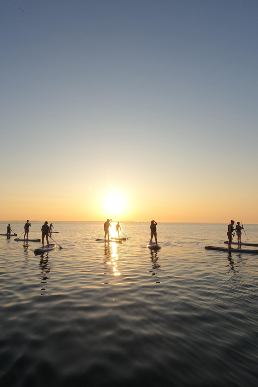 Lagos: Guided SUP Tour to Ponta da Piedade Caves - Praia Dona Ana: the first coastal view
