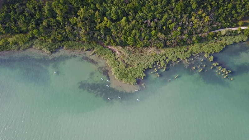 Lake Balaton 3 hour SUP tour - self-guided - Should you book the Lake Balaton SUP tour?