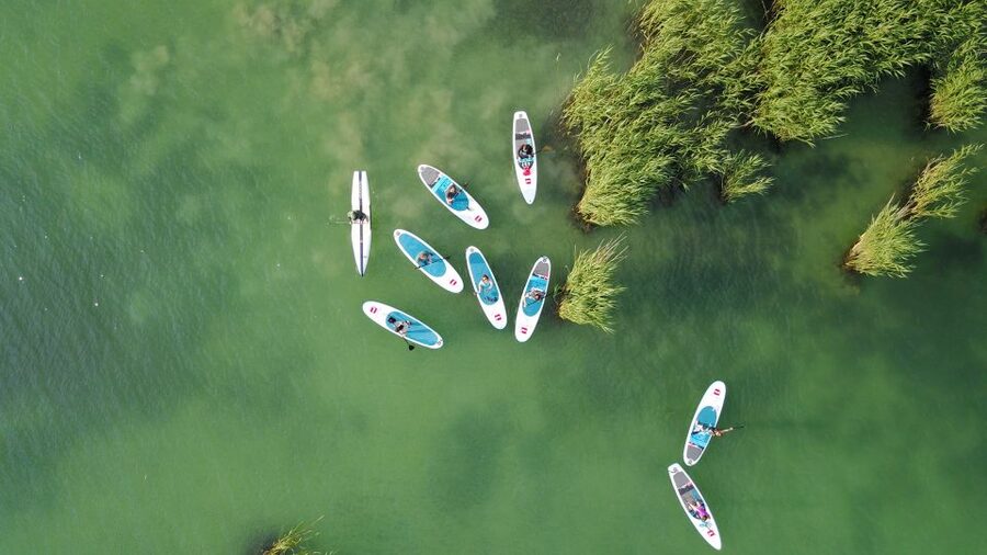 Lake Balaton: Paddle Board Tour of Tihany National Park - Key points before you book