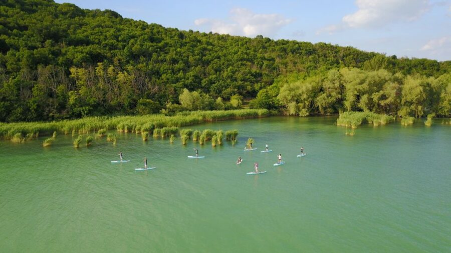 Lake Balaton: Paddle Board Tour of Tihany National Park - The short lesson before you leave shore