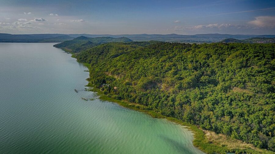 Lake Balaton: Paddle Board Tour of Tihany National Park - A swim break on Lake Balaton
