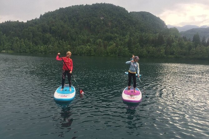 Lake Bled Stand-Up Paddle Boarding Lesson and Tour - Is $80.24 a fair price?