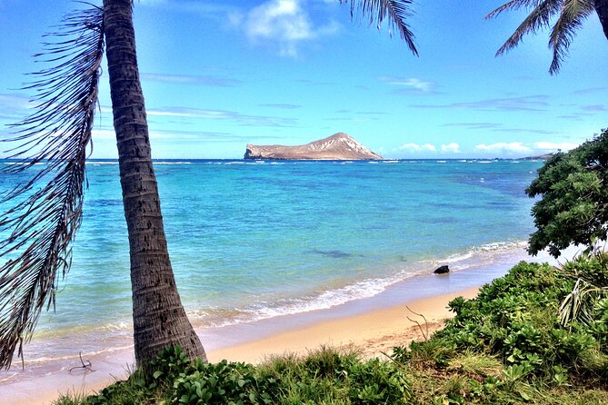 Lanikai to Mokulua islands Stand Up Paddle Board Tour - Choosing between a paddleboard and kayak
