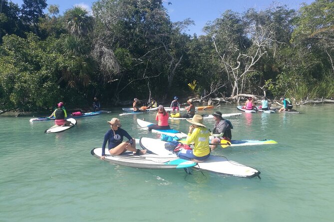 Learn Paddle Board and Explore the Mangroves of Progreso - Paddling through canals and tunnels