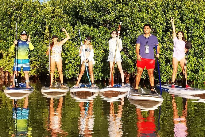 Learn Paddle Board and Explore the Mangroves of Progreso - What the $59.44 price buys you
