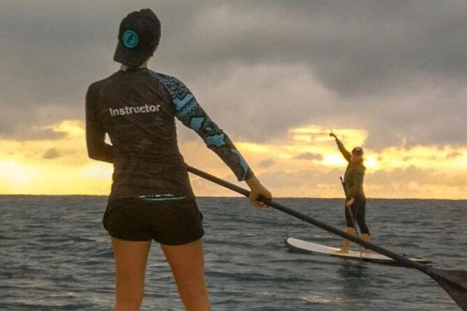 Learn Paddle Board and Explore the Mangroves of Progreso - Weather and timing require flexibility