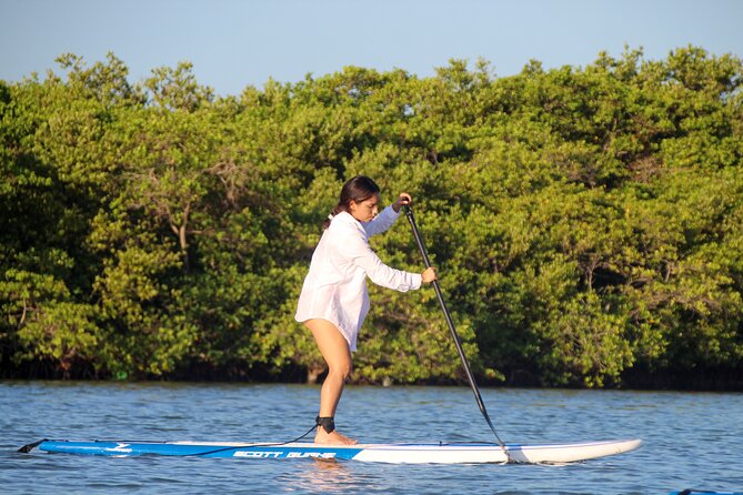 Learn Paddle Board and Explore the Mangroves of Progreso - Who will enjoy this most