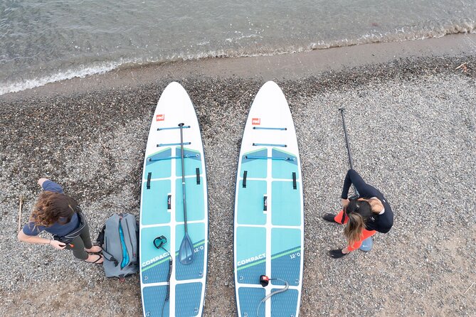 Learn to Paddle Board on the San Francisco Bay! - Who will enjoy Dogpatch Paddle most?