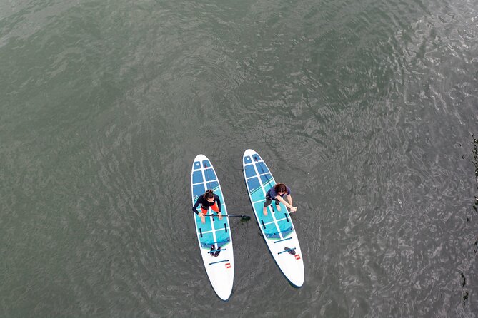 Learn to Paddle Board on the San Francisco Bay! - Should you book this San Francisco Bay lesson?