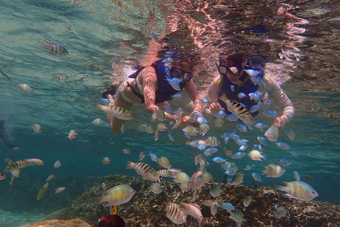 Learn to Stand Up Paddleboard! Includes 5 Star Snorkeling Tour! - Time to relax on the private beach
