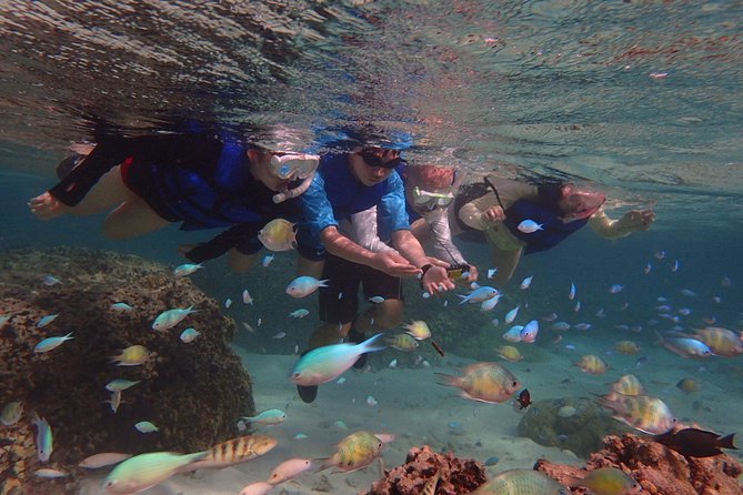 Learn to Stand Up Paddleboard! Includes 5 Star Snorkeling Tour! - What the price means for your day