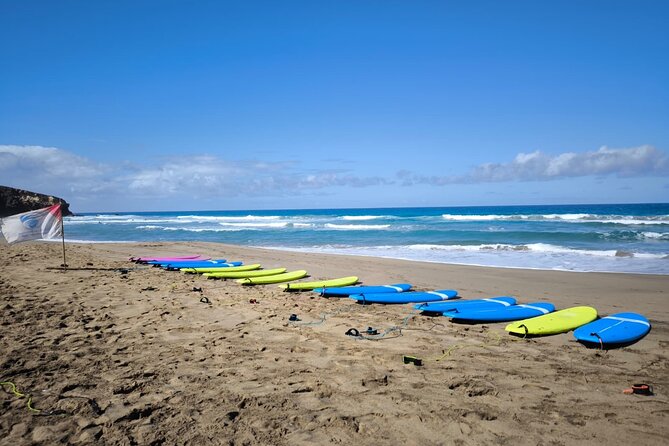 Learn to surf the most beautiful sandy beaches of Fuerteventura - Who Should Book This Surf Lesson