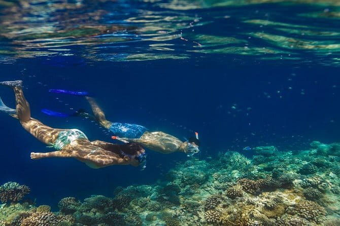 Learn to surf with Fuvahmulah Surf School - Gear, water, and the $50 price
