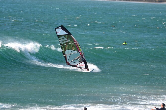 Learn to Windsurf in Porto! - Who Will Get the Most From This Activity
