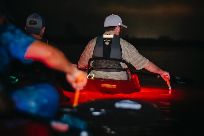 LED Bio Comb Jelly Clear Bottom Kayak or Paddleboard Tour! - Guides Who Shape the Evening