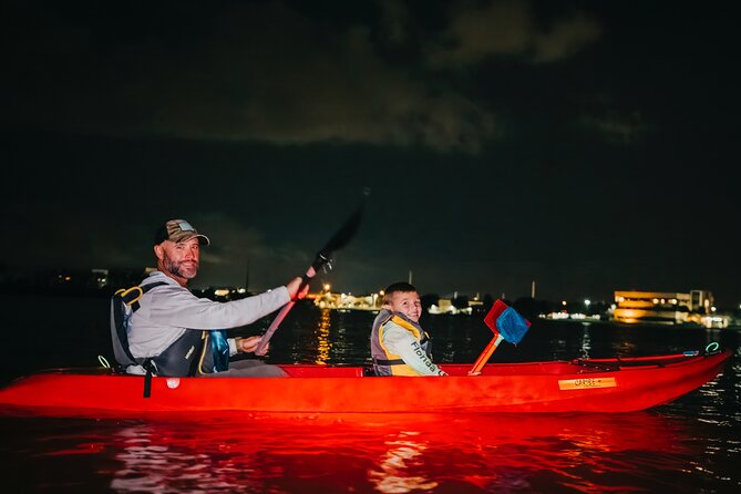 LED Bio Comb Jelly Clear Bottom Kayak or Paddleboard Tour! - Is the $80 Price Fair?