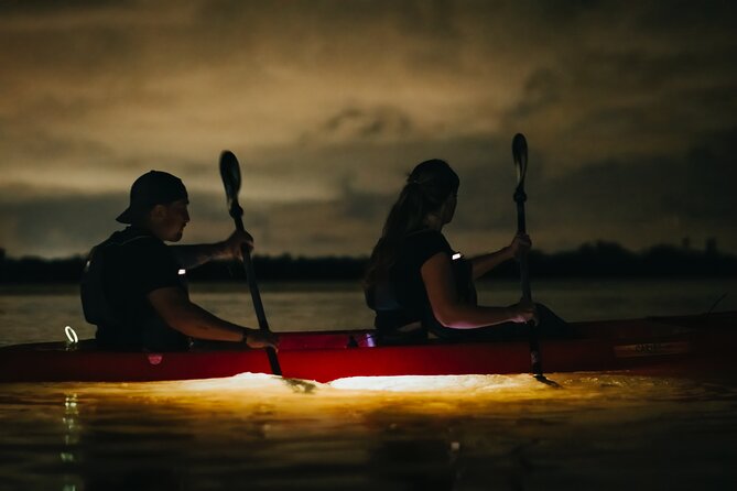 LED Bio Comb Jelly Clear Bottom Kayak or Paddleboard Tour! - Who Will Enjoy This Most?