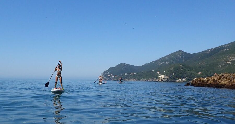 Lisbon: Stand Up Paddle Lesson in Arrábida, Setubal,Sesimbra - Key points at a glance