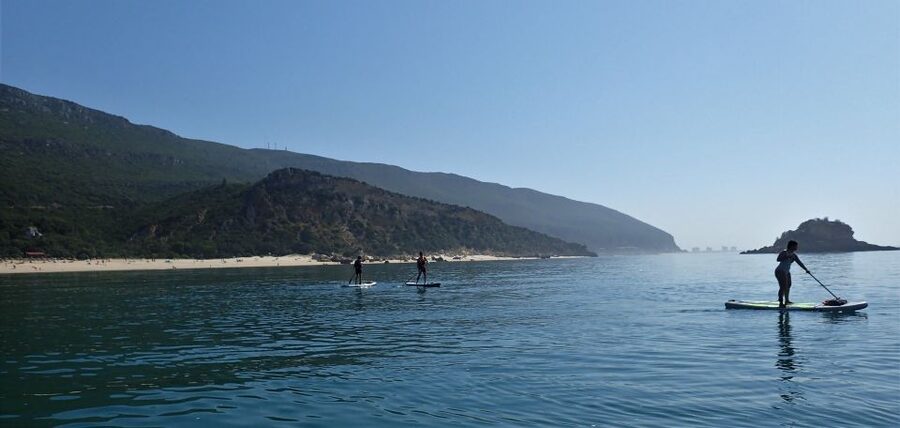 Lisbon: Stand Up Paddle Lesson in Arrábida, Setubal,Sesimbra - Who should book this three-hour outing