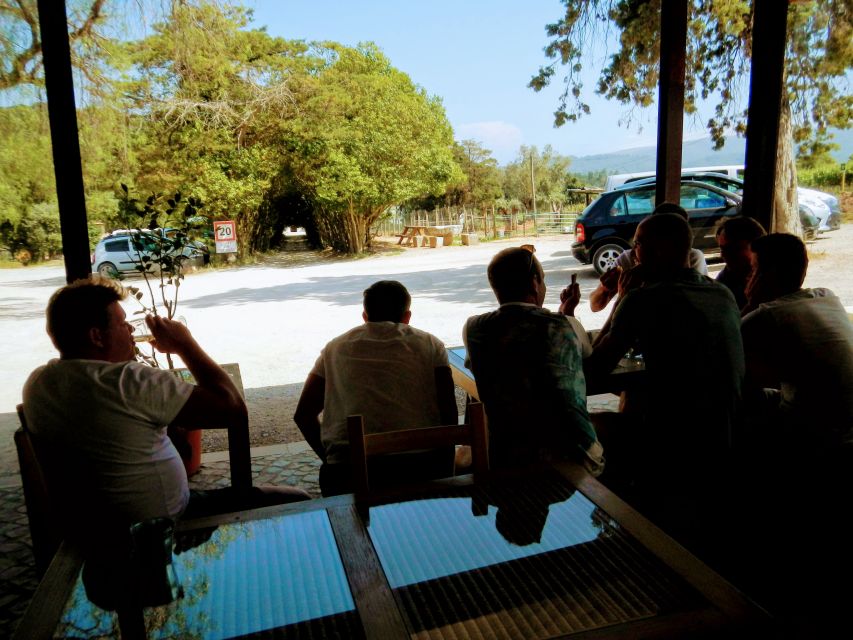 Lisbon: Surf or Bodyboard and Wine Tasting - FAQ