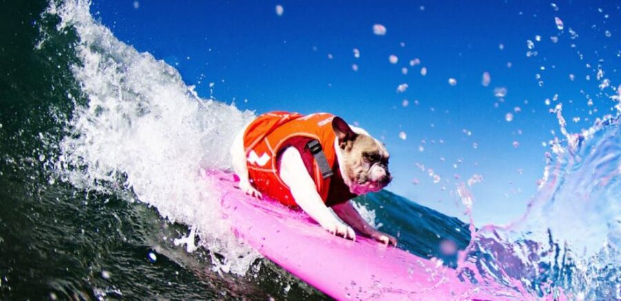 Los Angeles: Surfing Lesson in Venice Beach - Finding the white van on Bicknell Avenue