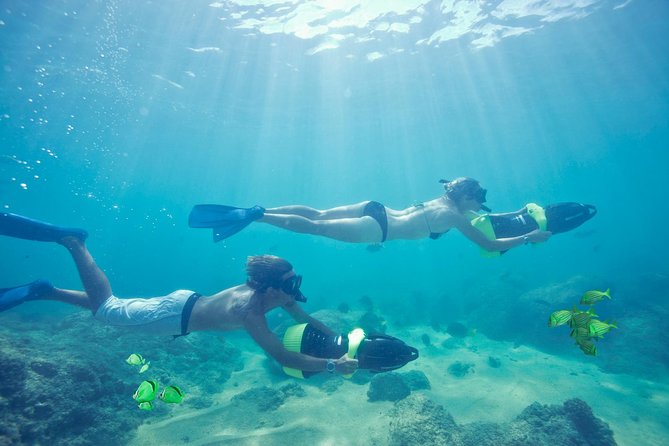 Los Cabos Power snorkel Adventure, Kayaking and Stand-Up Paddle - Marine life, guides, and the human touch
