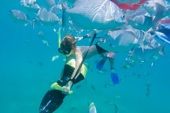Los Cabos Power snorkel Adventure, Kayaking and Stand-Up Paddle - Quesadillas, salsa, and the real value of the price