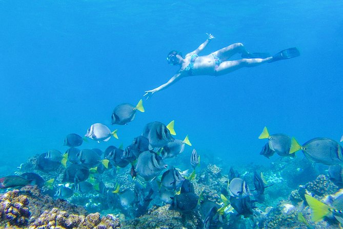 Los Cabos Power snorkel Adventure, Kayaking and Stand-Up Paddle - Should you book the Power Snorkel Adventure?