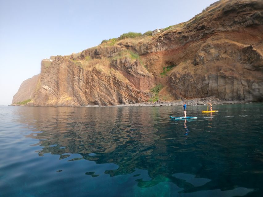 Madeira: Private Paddleboard & Snorkel - Snorkeling and sea life near the coast