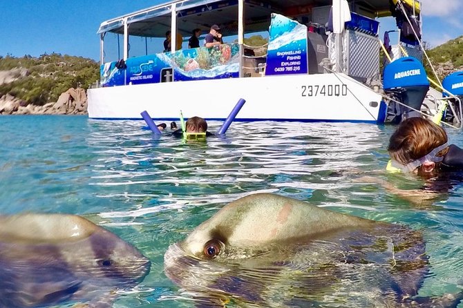 Magnetic Island Discovery Tour with Snorkeling & Paddle Boarding - Seeing Magnetic Island from the water