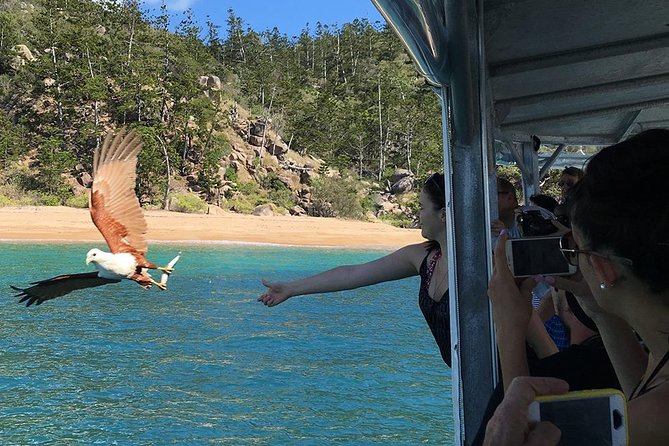 Magnetic Island Discovery Tour with Snorkeling & Paddle Boarding - Paddle boards, the pontoon, and time to relax
