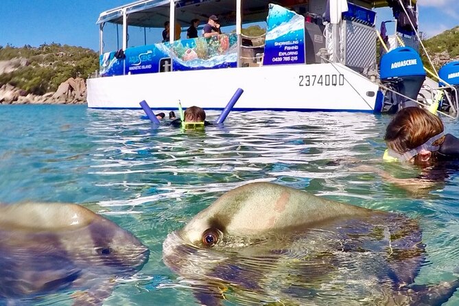 Magnetic Island Discovery Tour with Snorkeling & Paddle Boarding - How the weather changes the experience