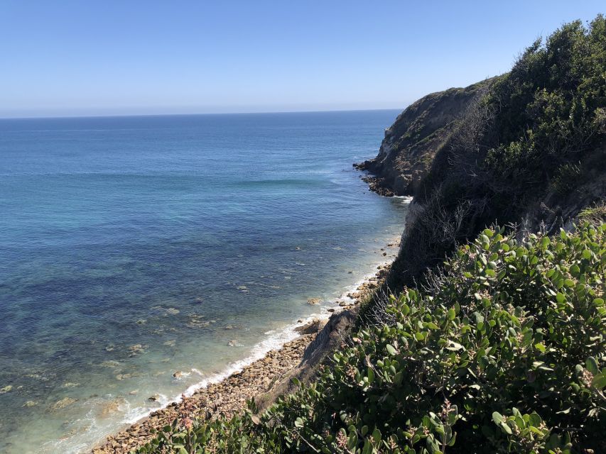 Malibu Beach: Surf Tour in a Vintage VW Van - Who Will Like This Malibu Day Most?