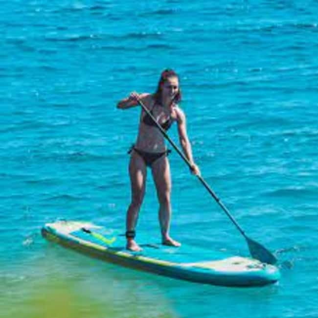 Malta: Paddleboarding Experience at Sun and Fun Water Sports - Who should book this session?