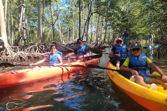 Mangrove Jungle Exploration on SUP/Kayak - Paddling through mangroves and the lagoon