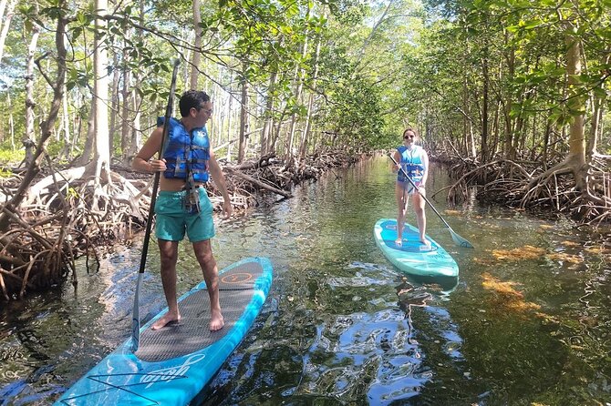 Mangrove Jungle Exploration on SUP/Kayak - Weather, water conditions, and safety