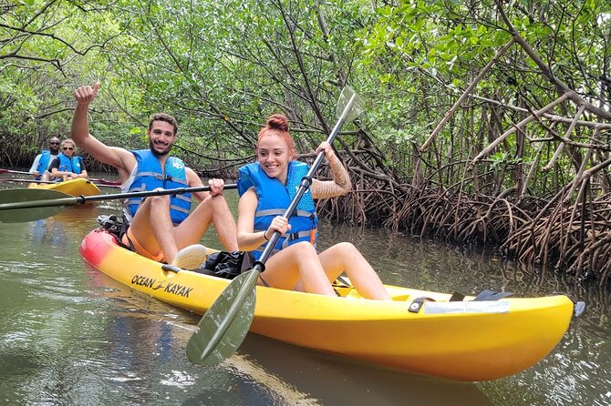 Mangrove Jungle Exploration on SUP/Kayak - From 10800 Collins Avenue to the water