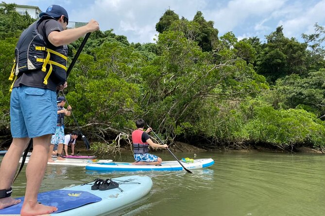 Mangrove SUP in Okinawa - What Happens During the Two-Hour Experience