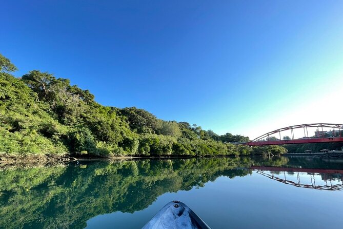 Mangrove SUP in Okinawa - Is $38.84 a Fair Price?