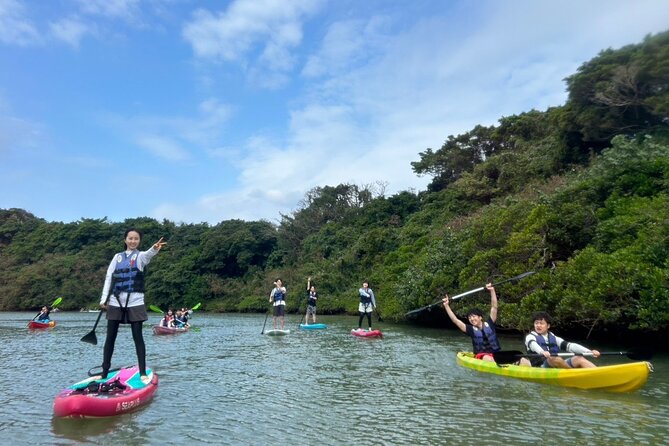 Mangrove SUP in Okinawa - Mangrove Roots, Crabs, and Gobies