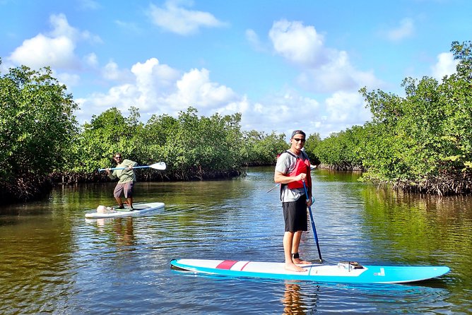 Mangrove SUP Safari - Key points at a glance