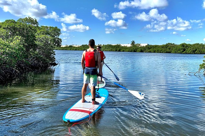Mangrove SUP Safari - Wildlife watching without chasing animals