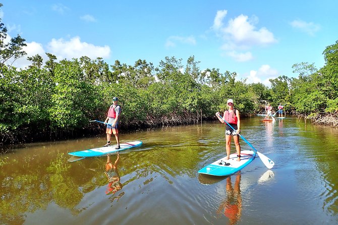 Mangrove SUP Safari - What the $75 price covers