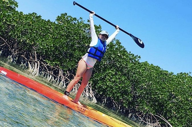 Mangroves Stand-Up Paddleboard Tour - Who will enjoy this paddleboard tour?