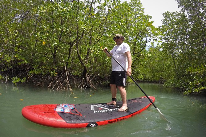 Mangroves SUP Tour Phuket - Paddling through the Phuket mangroves